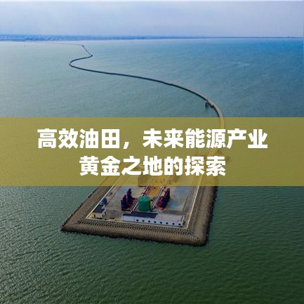 高效油田，未来能源产业黄金之地的探索