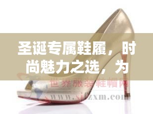 圣诞专属鞋履，时尚魅力之选，为节日增添独特风采