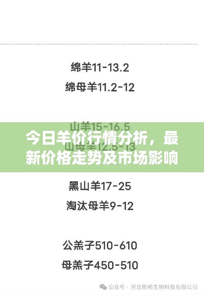 今日羊价行情分析，最新价格走势及市场影响因素探讨