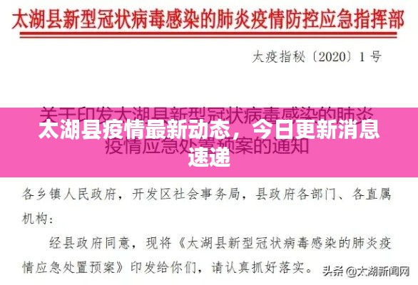 太湖县疫情最新动态，今日更新消息速递