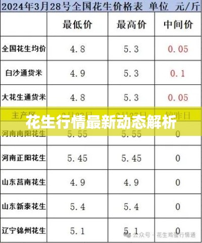 花生行情最新动态解析