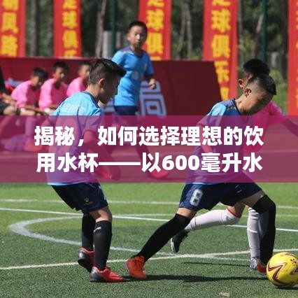 揭秘，如何选择理想的饮用水杯——以600毫升水杯为例