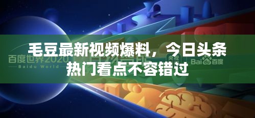 毛豆最新视频爆料，今日头条热门看点不容错过