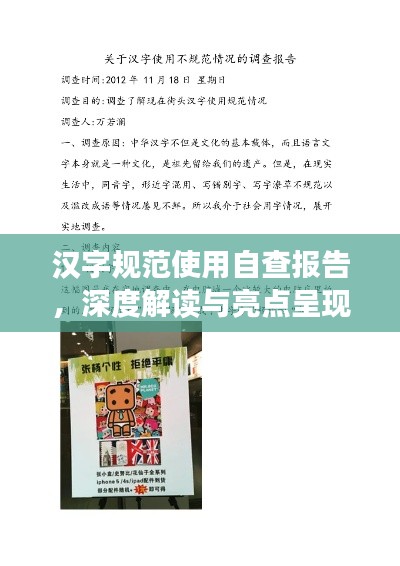 汉字规范使用自查报告，深度解读与亮点呈现