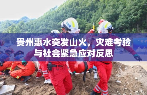 贵州惠水突发山火，灾难考验与社会紧急应对反思