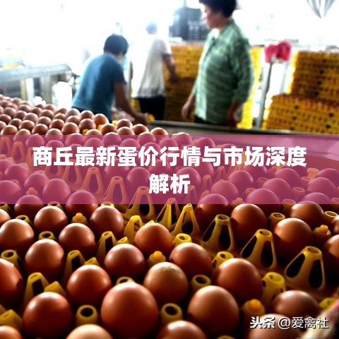 就正有道