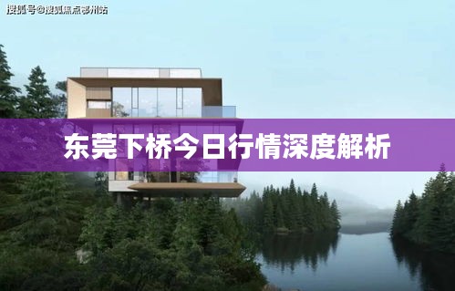 东莞下桥今日行情深度解析