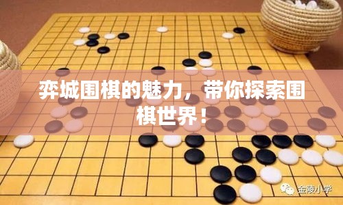 弈城围棋的魅力，带你探索围棋世界！
