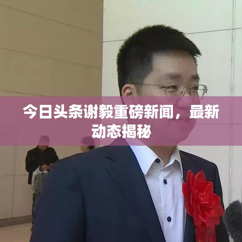 今日头条谢毅重磅新闻，最新动态揭秘