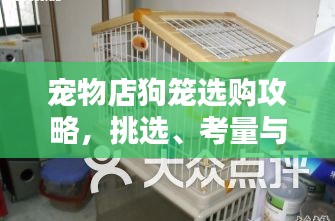 宠物店狗笼选购攻略，挑选、考量与满足需求
