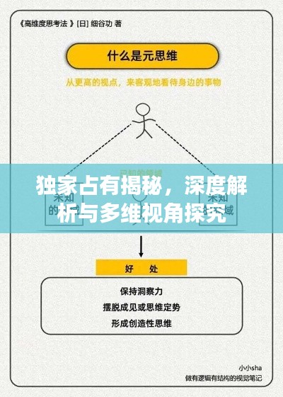 独家占有揭秘，深度解析与多维视角探究