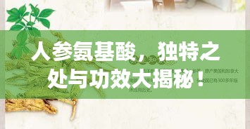 人参氨基酸，独特之处与功效大揭秘！