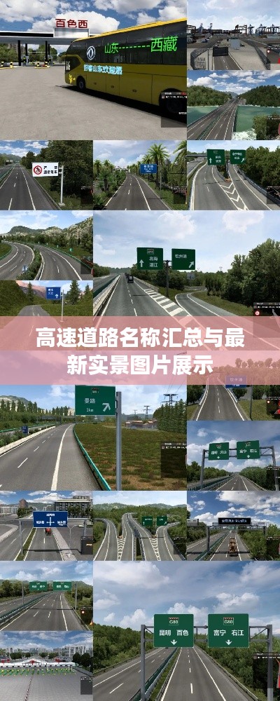 张张屈屈