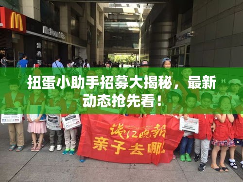 扭蛋小助手招募大揭秘，最新动态抢先看！