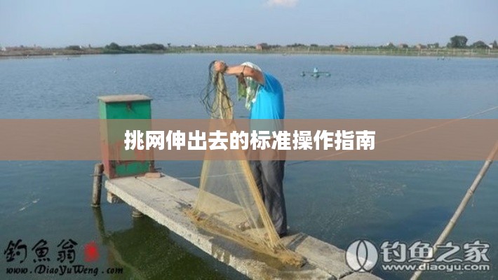 挑网伸出去的标准操作指南