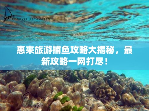 惠来旅游捕鱼攻略大揭秘，最新攻略一网打尽！