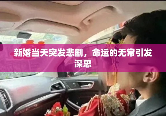 新婚当天突发悲剧，命运的无常引发深思
