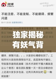 独家揭秘有妖气背后的运营与市场策略，揭秘其成功的秘密！