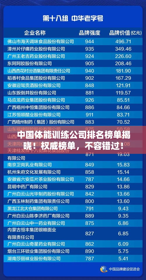 中国体能训练公司排名榜单揭晓！权威榜单，不容错过！
