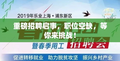 开张圣听