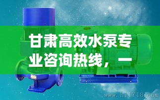 甘肃高效水泵专业咨询热线，一站式服务，让您轻松选购优质水泵