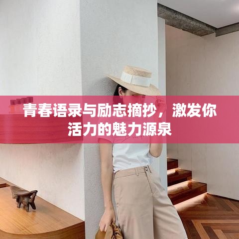 支付方式 第12页