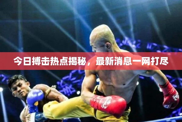 今日搏击热点揭秘，最新消息一网打尽