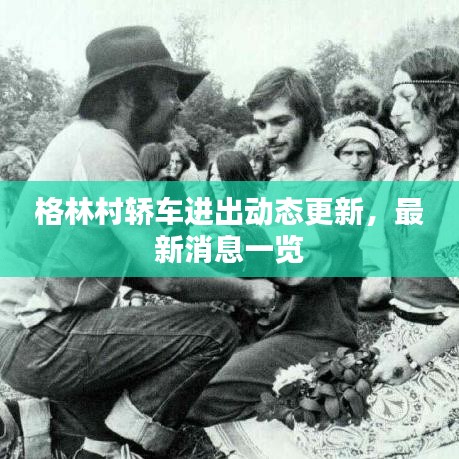 格林村轿车进出动态更新，最新消息一览
