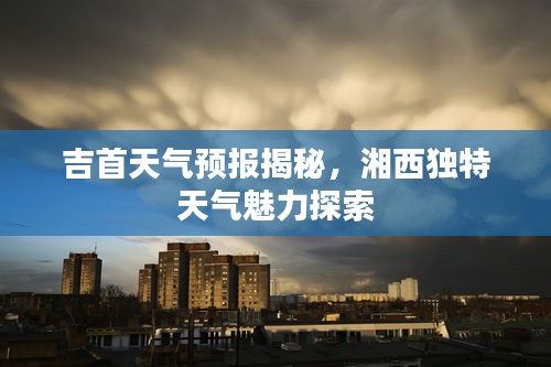 标新创异