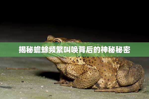 揭秘蟾蜍频繁叫唤背后的神秘秘密