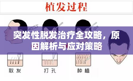 鲜花用途 第12页