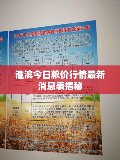 淮滨今日粮价行情最新消息表揭秘