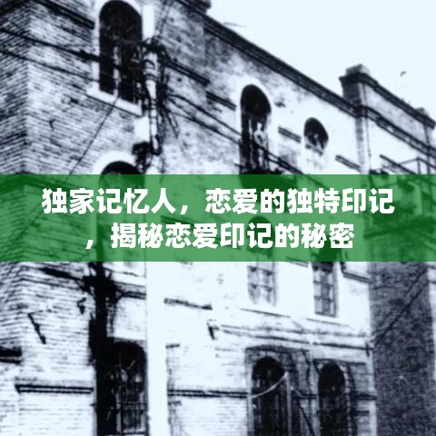 独家记忆人，恋爱的独特印记，揭秘恋爱印记的秘密