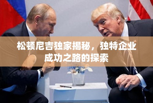 松顿尼吉独家揭秘，独特企业成功之路的探索