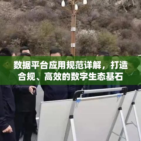 数据平台应用规范详解，打造合规、高效的数字生态基石
