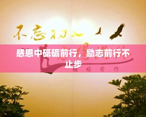 感恩中砥砺前行，励志前行不止步