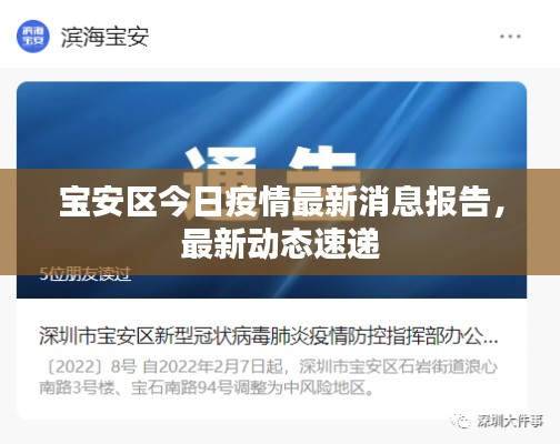宝安区今日疫情最新消息报告，最新动态速递
