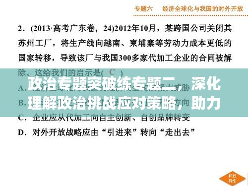 政治专题突破练专题二，深化理解政治挑战应对策略，助力高效备考