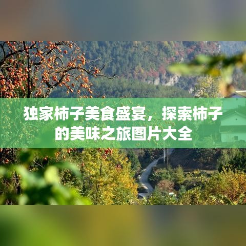 独家柿子美食盛宴，探索柿子的美味之旅图片大全