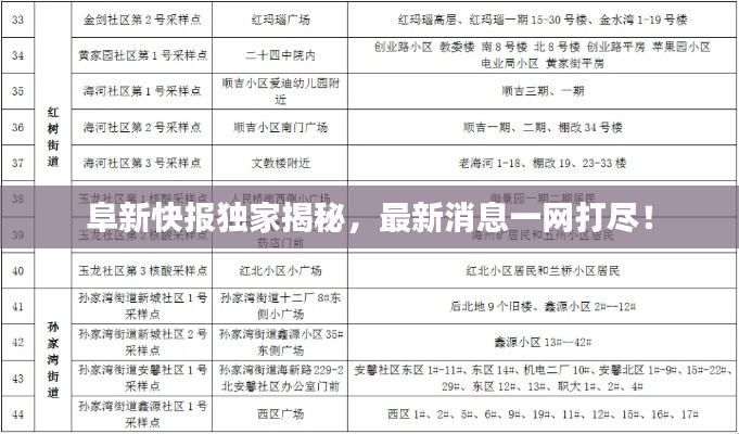 阜新快报独家揭秘，最新消息一网打尽！