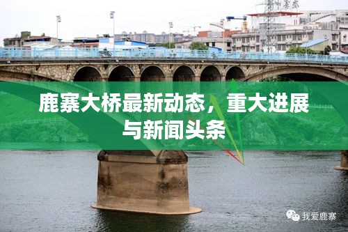 鹿寨大桥最新动态，重大进展与新闻头条