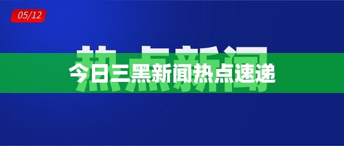 今日三黑新闻热点速递