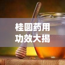 桂圆药用功效大揭秘，百度收录的桂圆药用知识汇总