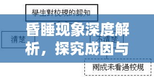 昏睡现象深度解析，探究成因与专题探讨