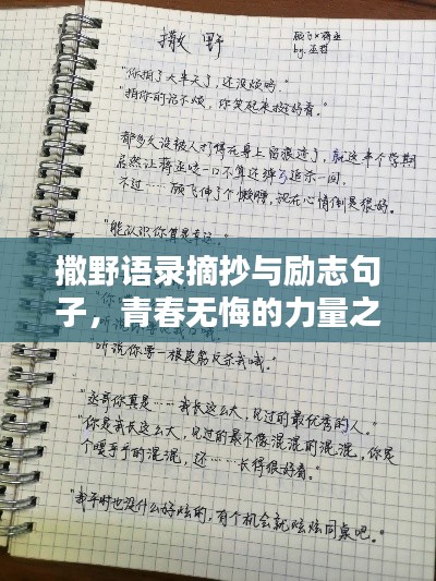 撒野语录摘抄与励志句子，青春无悔的力量之源