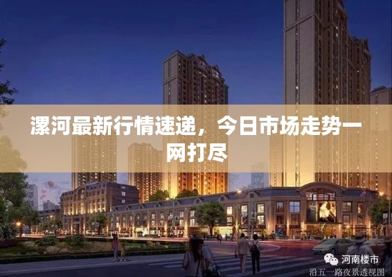 漯河最新行情速递，今日市场走势一网打尽