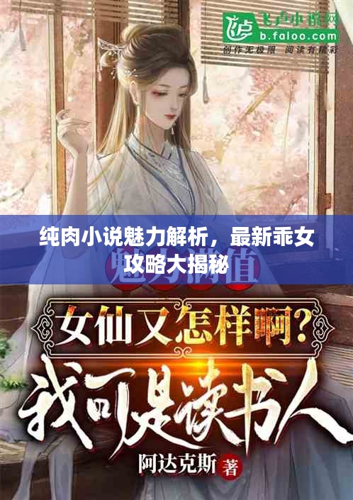 纯肉小说魅力解析，最新乖女攻略大揭秘