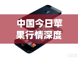 贵人多忘事