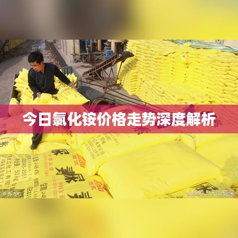 今日氯化铵价格走势深度解析