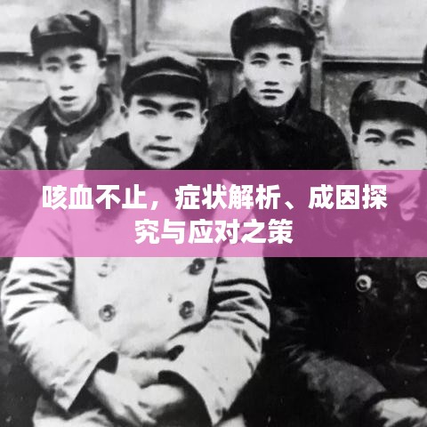 咳血不止，症状解析、成因探究与应对之策